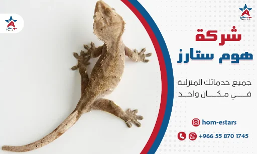 ارخص شركة مكافحة ابراص بتبوك