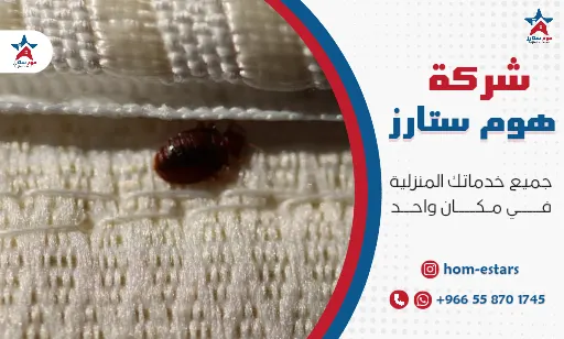 ارخص شركة مكافحة بق الفراش بتبوك