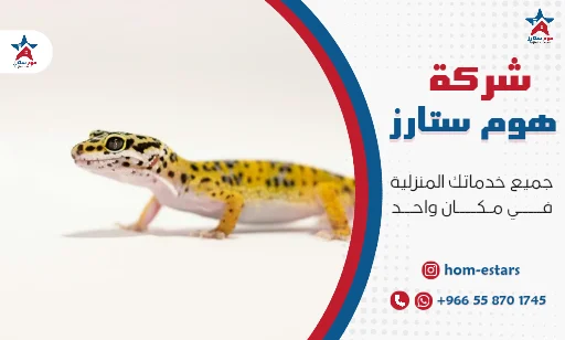 افضل شركة مكافحة الوزغ بتبوك