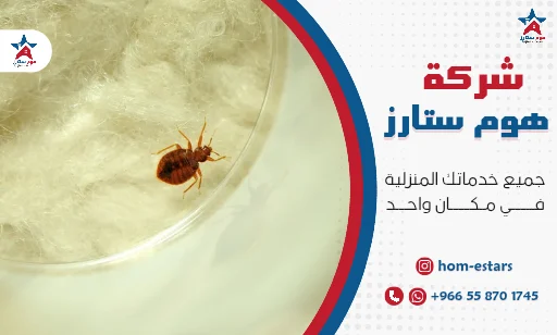 افضل شركة مكافحة بق الفراش بتبوك