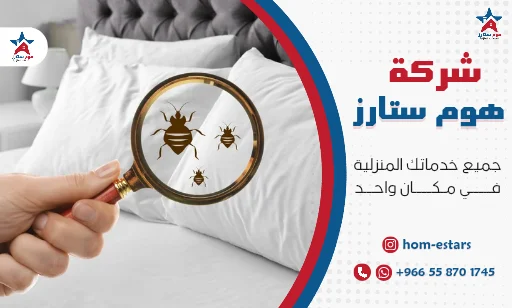 شركة مكافحة البق بتبوك