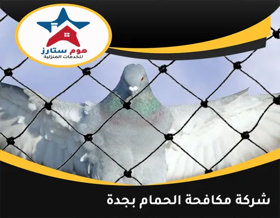 شركة مكافحة الحمام بجدة