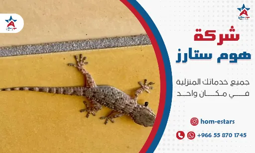 شركة مكافحة الوزغ بتبوك
