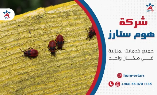 شركة مكافحة بق الفراش بتبوك