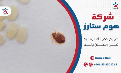 مكافحة حشرات