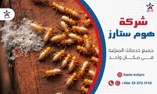افضل شركة مكافحة النمل الابيض بجدة