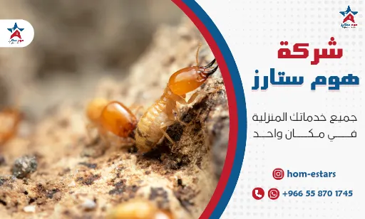 شركة مكافحة الأرضة بجدة