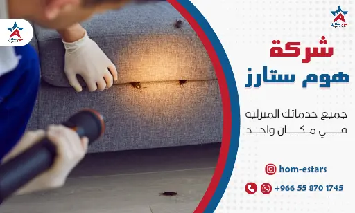 مكافحة البق