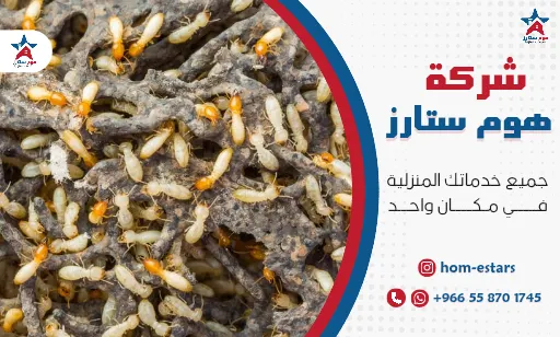 مكافحة النمل الابيض