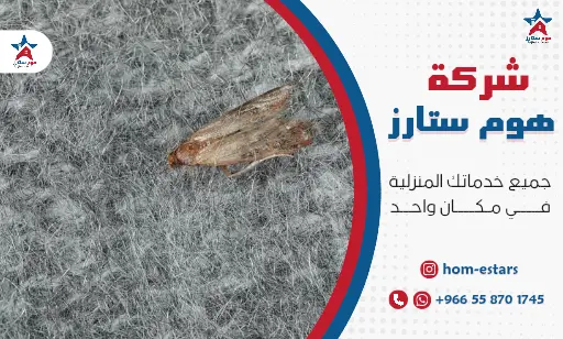افضل شركة مكافحة العتة بجدة