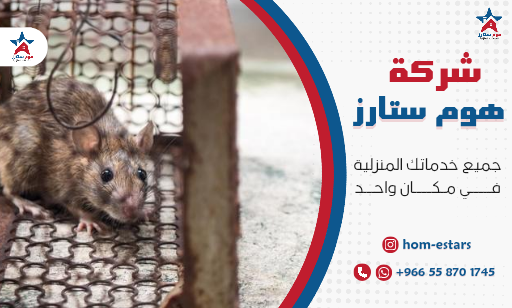 افضل شركة مكافحة الفئران بجدة