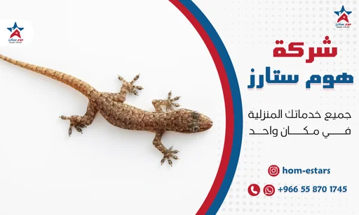 شركة مكافحة ابراص بجدة