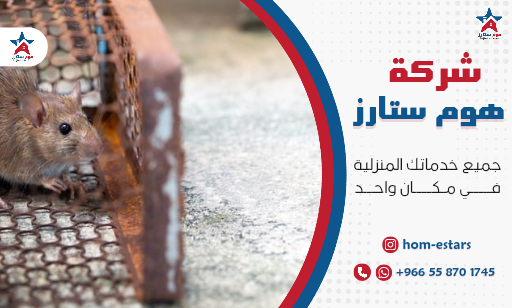 شركة مكافحة الجرذان بجدة