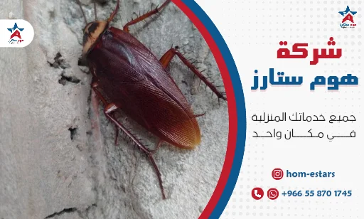 شركة مكافحة الصراصير بجدة