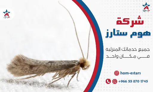 شركة مكافحة العتة بجدة