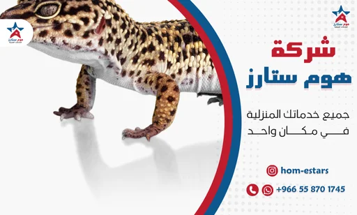 شركة مكافحة الوزغ بجدة
