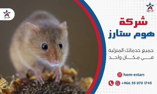 مكافحة الفئران