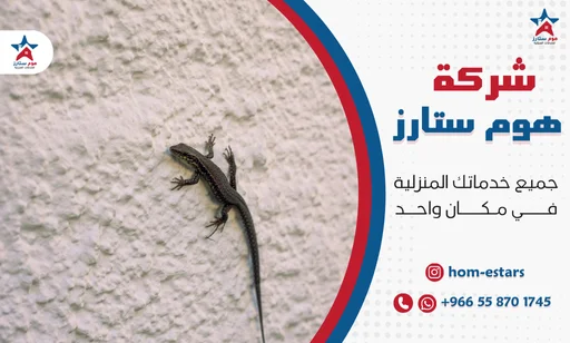 مكافحة الوزغ والأبراص