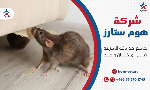 افضل شركة مكافحة الفئران بتبوك