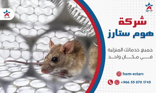 شركة مكافحة فئران بتبوك