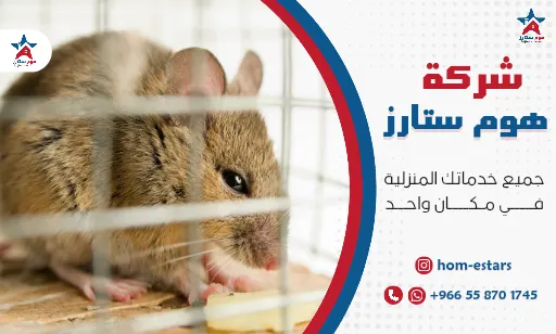 مكافحة الفئران